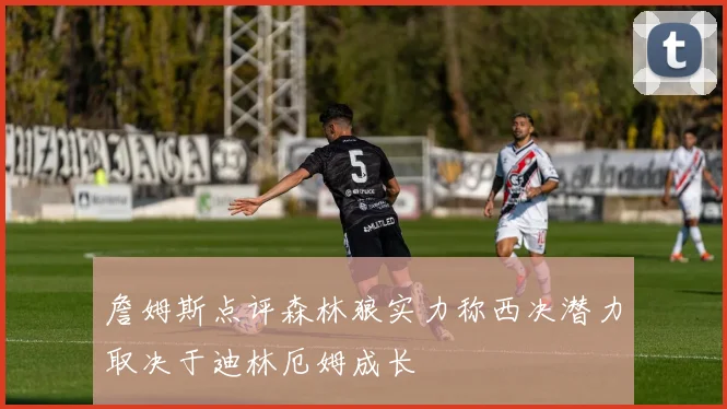 詹姆斯点评森林狼实力称西决潜力取决于迪林厄姆成长