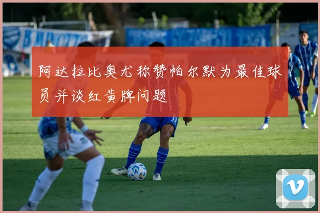 阿达拉比奥尤称赞帕尔默为最佳球员并谈红黄牌问题